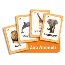 קטגוריה – חיות בר (כרטיסי הברקה)| Zoo Animals Flashcards