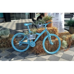 אופניים לעיצוב | אופניים צבעוניים | אופניים לגינה |