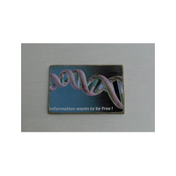 סליל גנים | תמונה צבעונית | הדפס על לוח ממוחזר | מתנות למשרד |