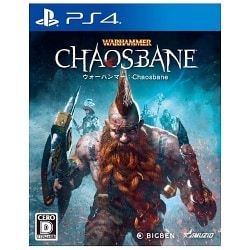PS4 | משחק לפלייסטיישן 4 – Warhammer Chaosbane