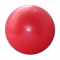 כדור פיזיו – פיט בול fit ball 55