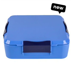 Little Lunch Box – קופסת בנטו מחולקת 3+ תאים – Blueberry