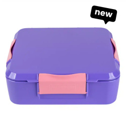 Little Lunch Box – קופסת בנטו מחולקת 3+ תאים – Grape